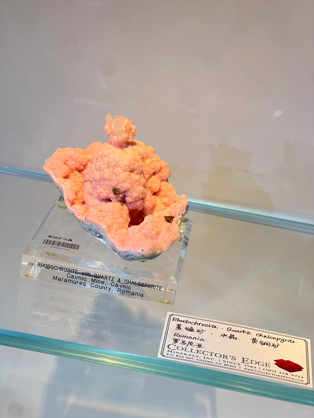 2025中國南京(國際)礦物寶石化石博覽會⑴