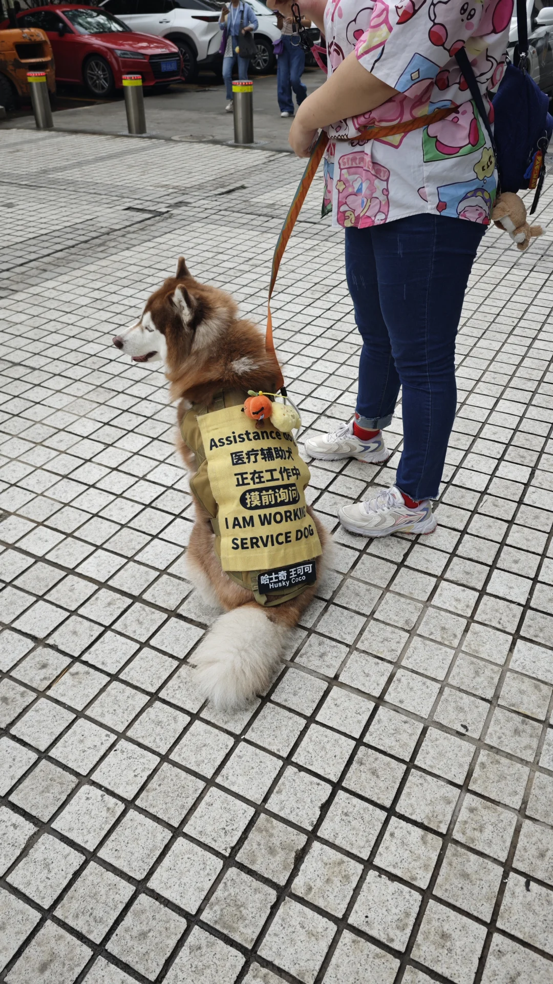 上海疗愈博览会首日打卡