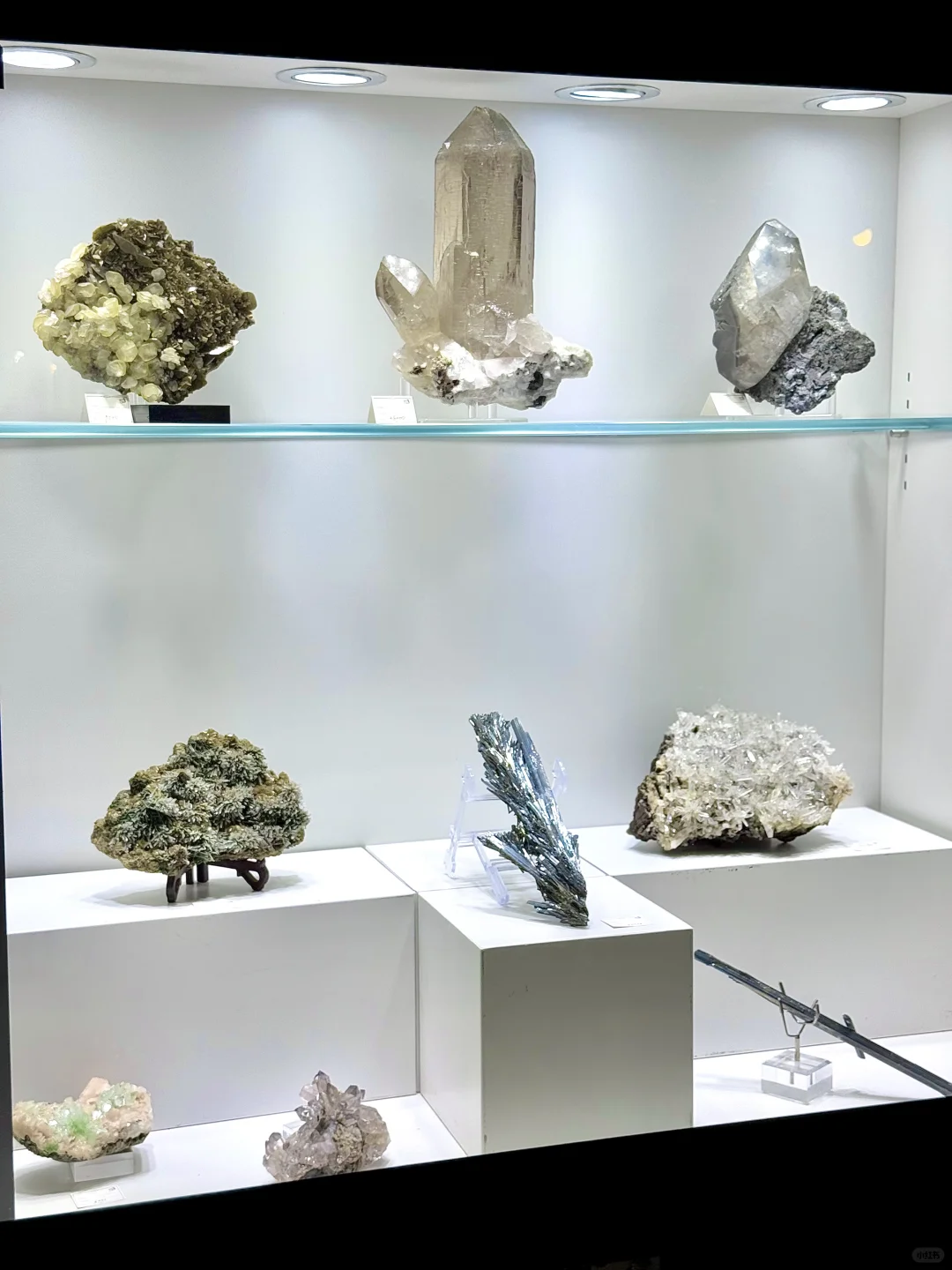 来?紫气东来！南京近期最热门的矿物博览会