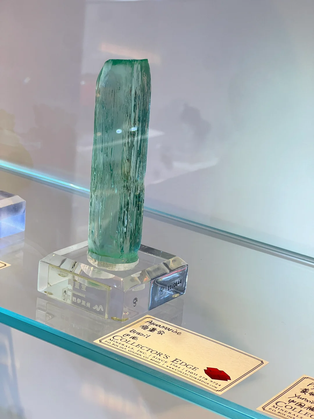 2025中國南京(國際)礦物寶石化石博覽會⑴