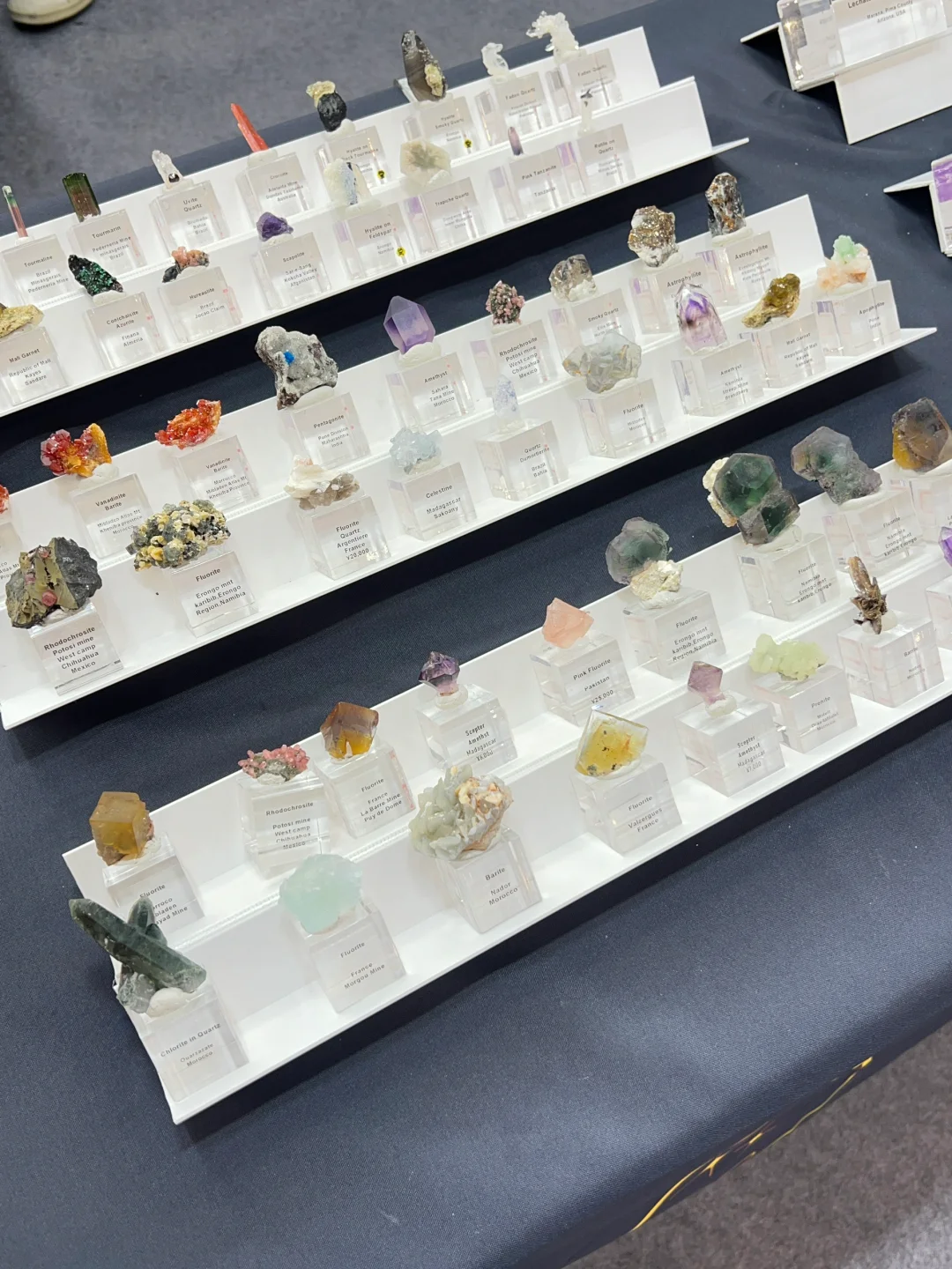 2025中國南京(國際)礦物寶石化石博覽會⑴