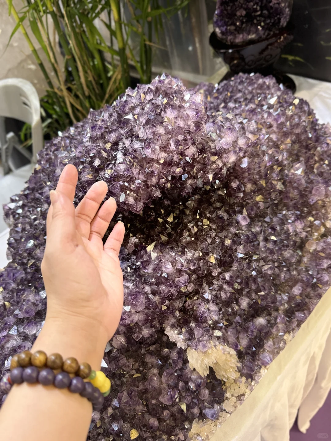 全国最大疗愈博览会