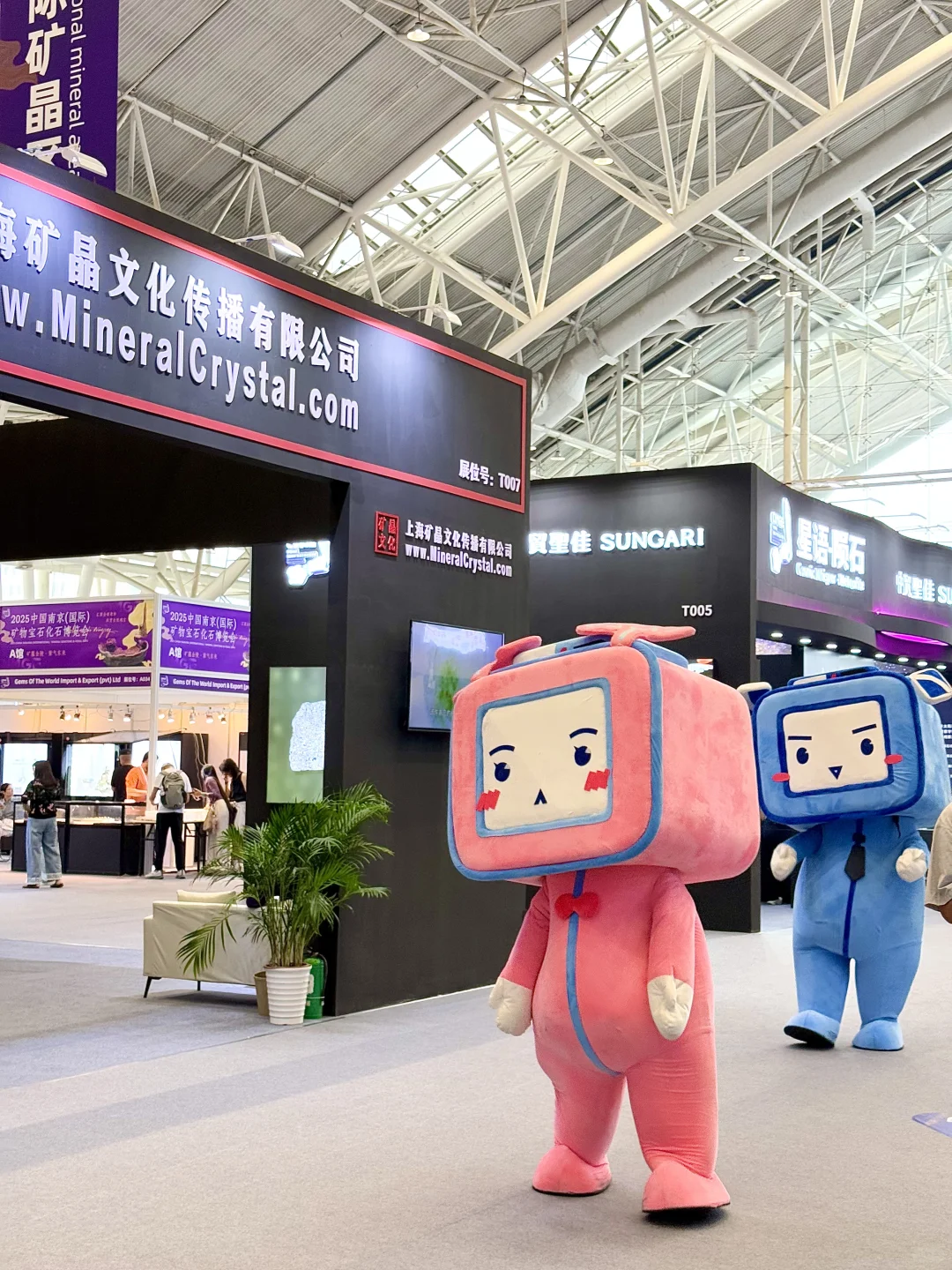 来?紫气东来！南京近期最热门的矿物博览会