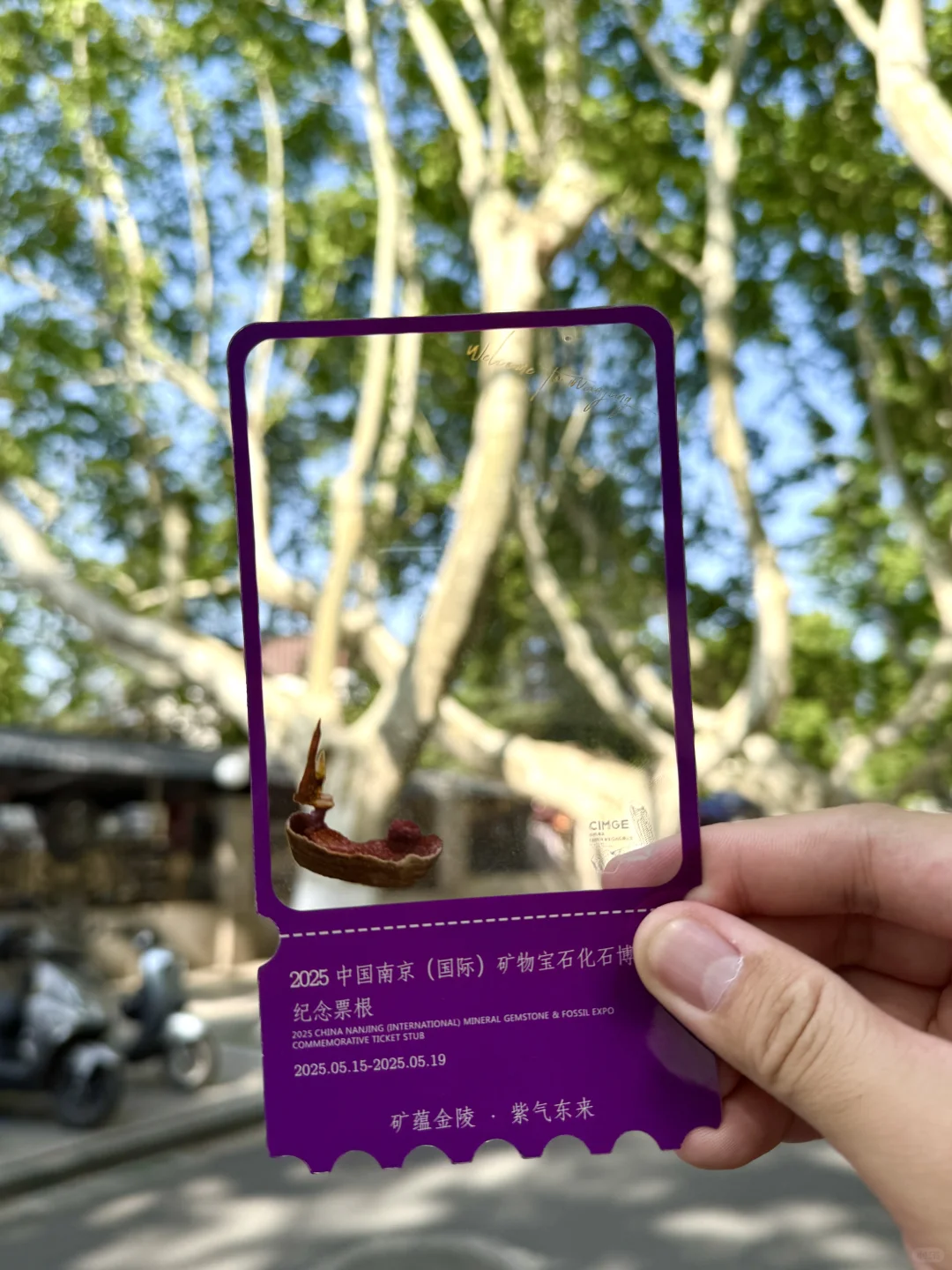 南京人收到通知了吗?2025南京矿博会要来了