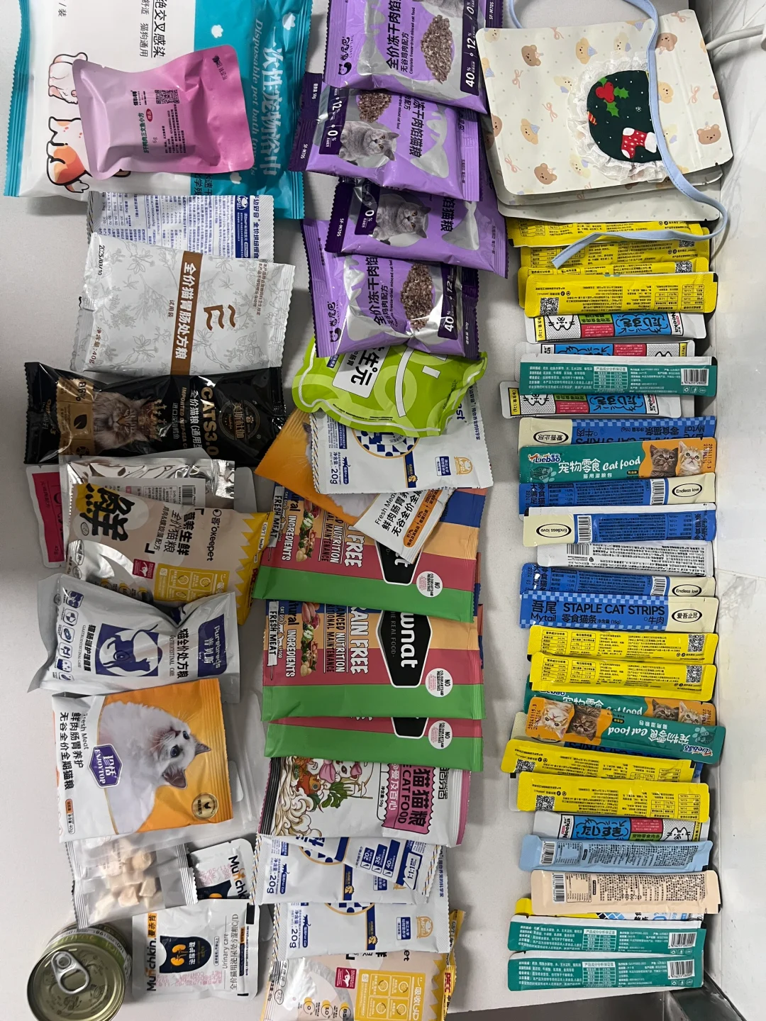 鸿威 世界 宠物博览会