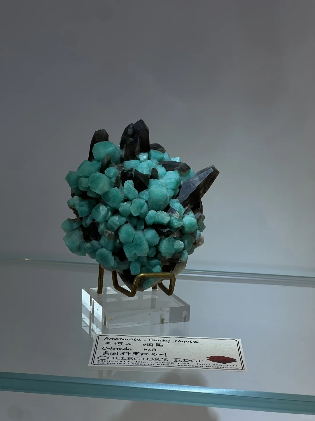 2025中國南京(國際)礦物寶石化石博覽會⑴