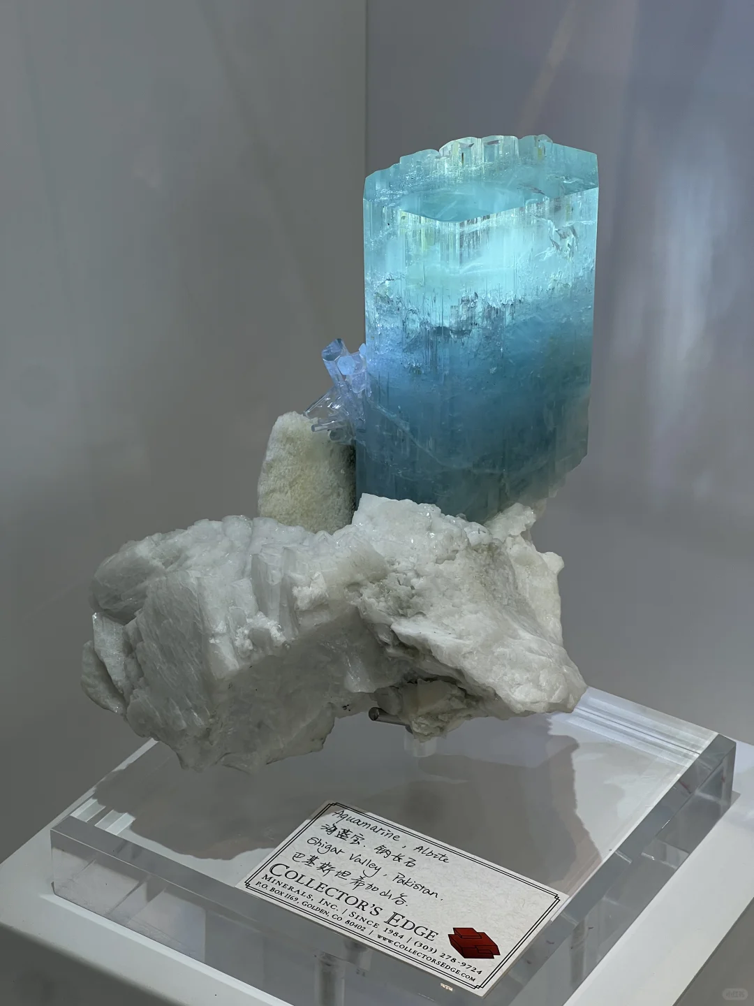 2025中國南京(國際)礦物寶石化石博覽會⑴