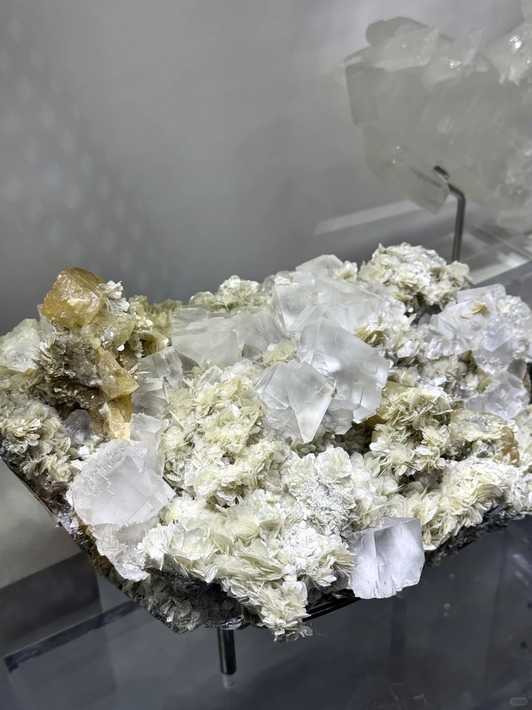 南京人收到通知了吗?2025南京矿博会要来了