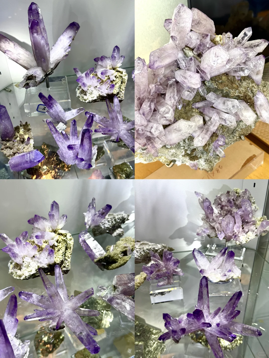 南京人收到通知了吗?2025南京矿博会要来了