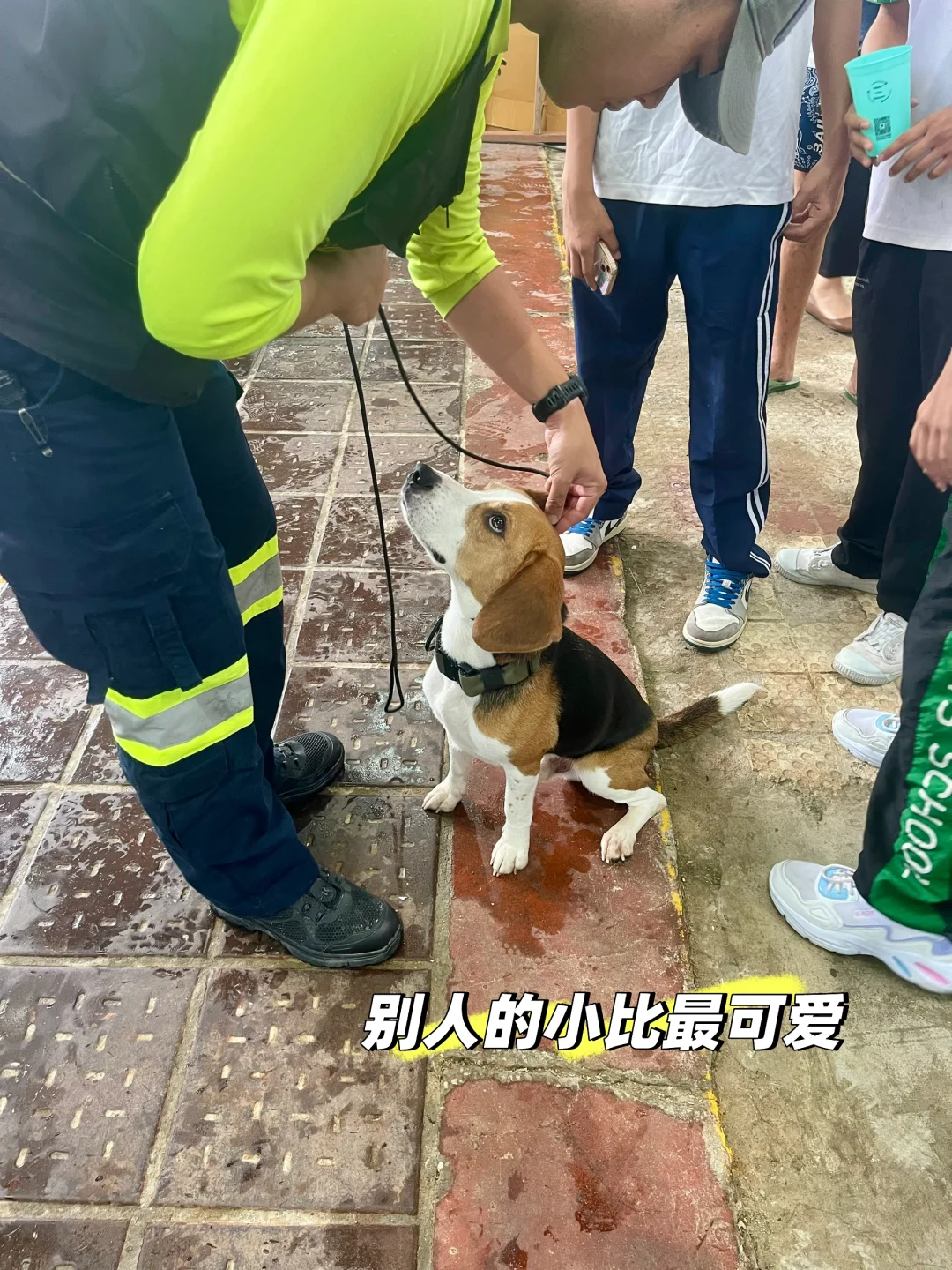 ??五月曼谷最Local的博览会还有两天