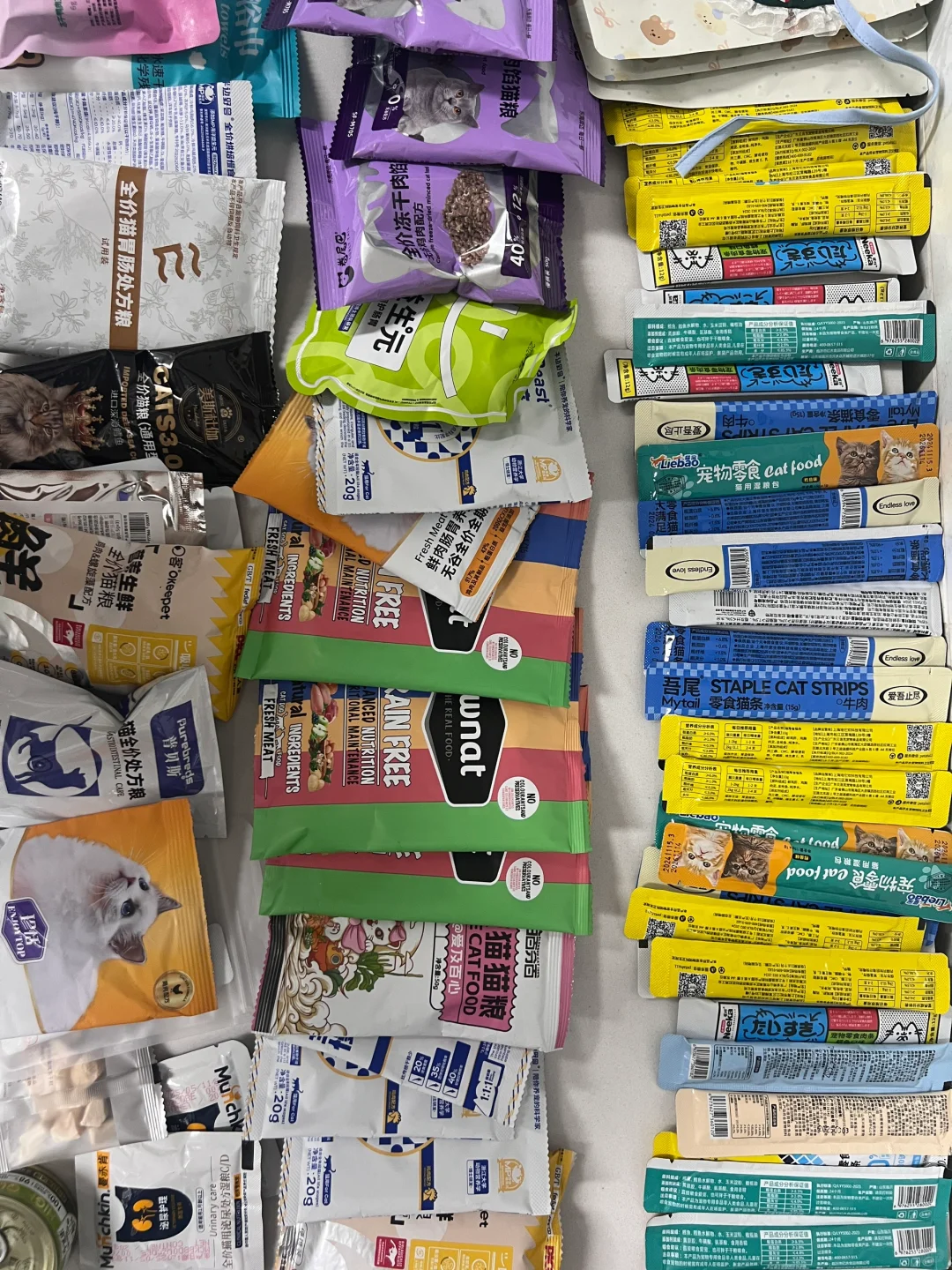 鸿威 世界 宠物博览会