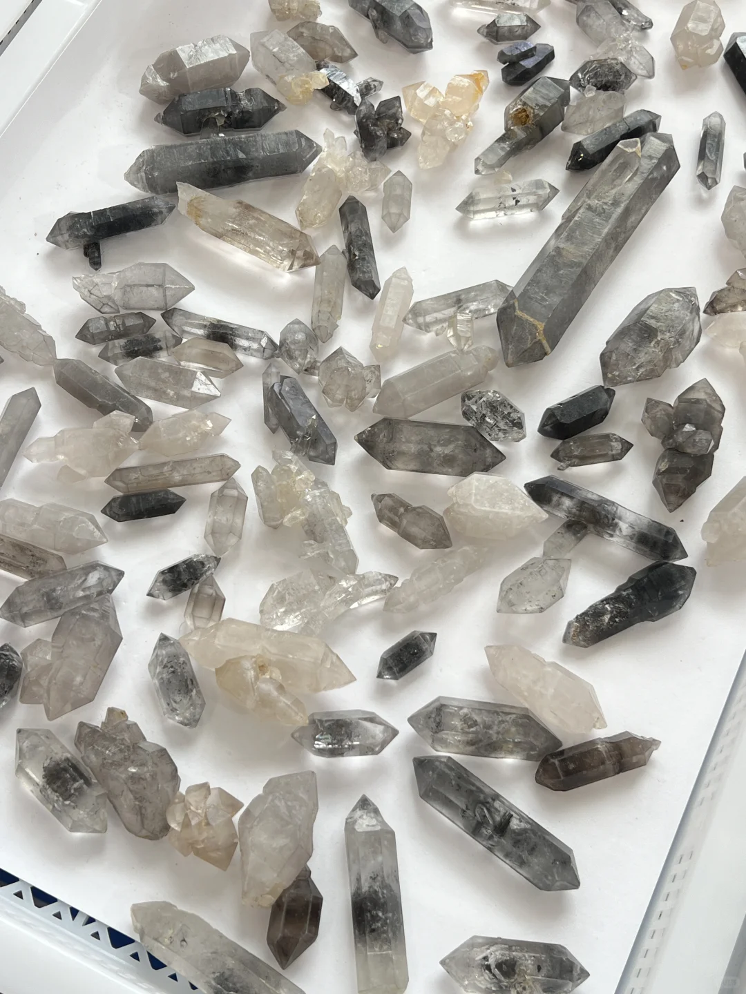 2025中國南京(國際)礦物寶石化石博覽會⑴