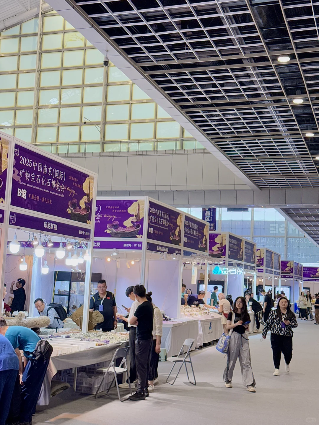 来?紫气东来！南京近期最热门的矿物博览会