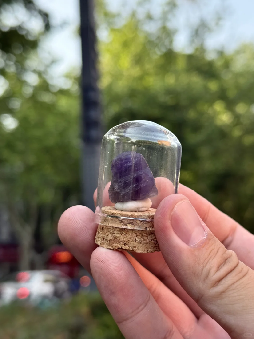 南京人收到通知了吗?2025南京矿博会要来了