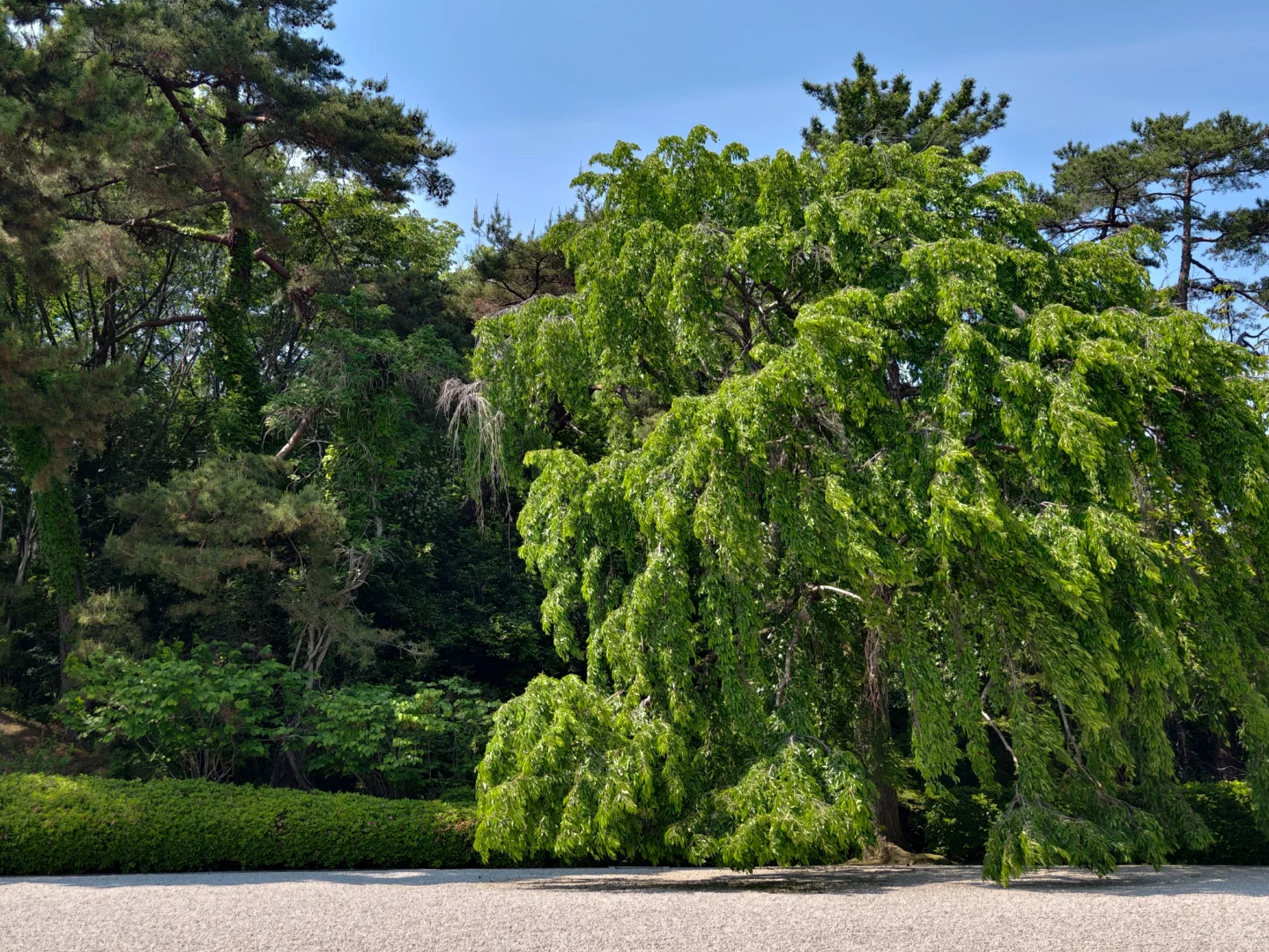 奈良大和文华馆推荐及小贴士