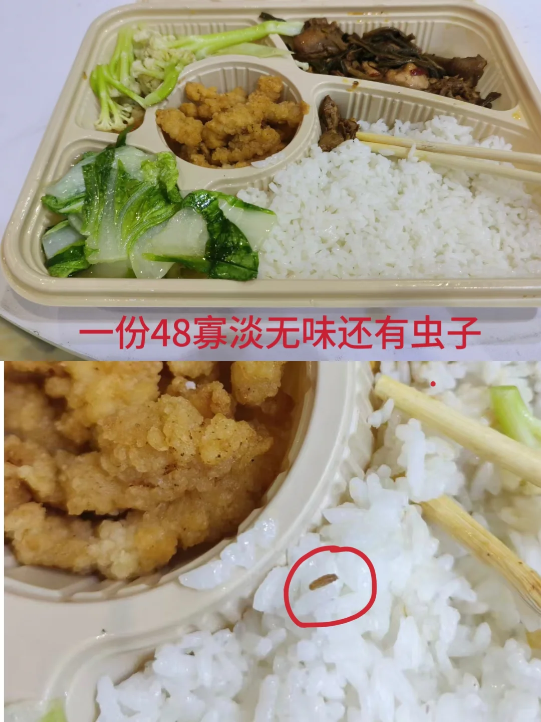 它博会球球别再避雷打工人了