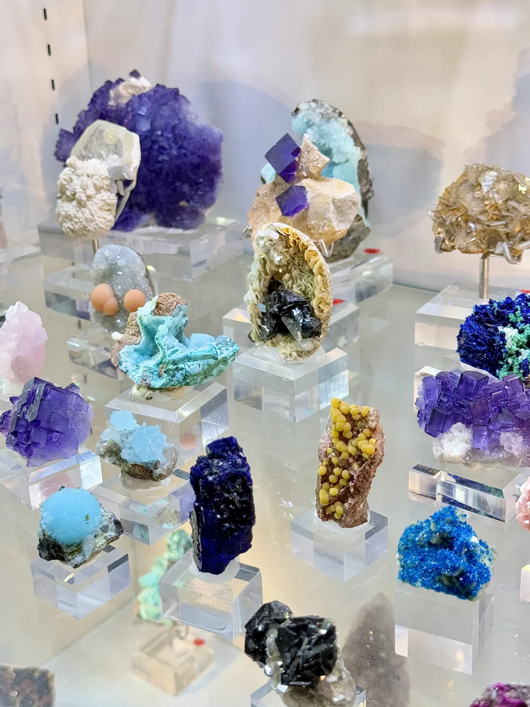 来?紫气东来！南京近期最热门的矿物博览会