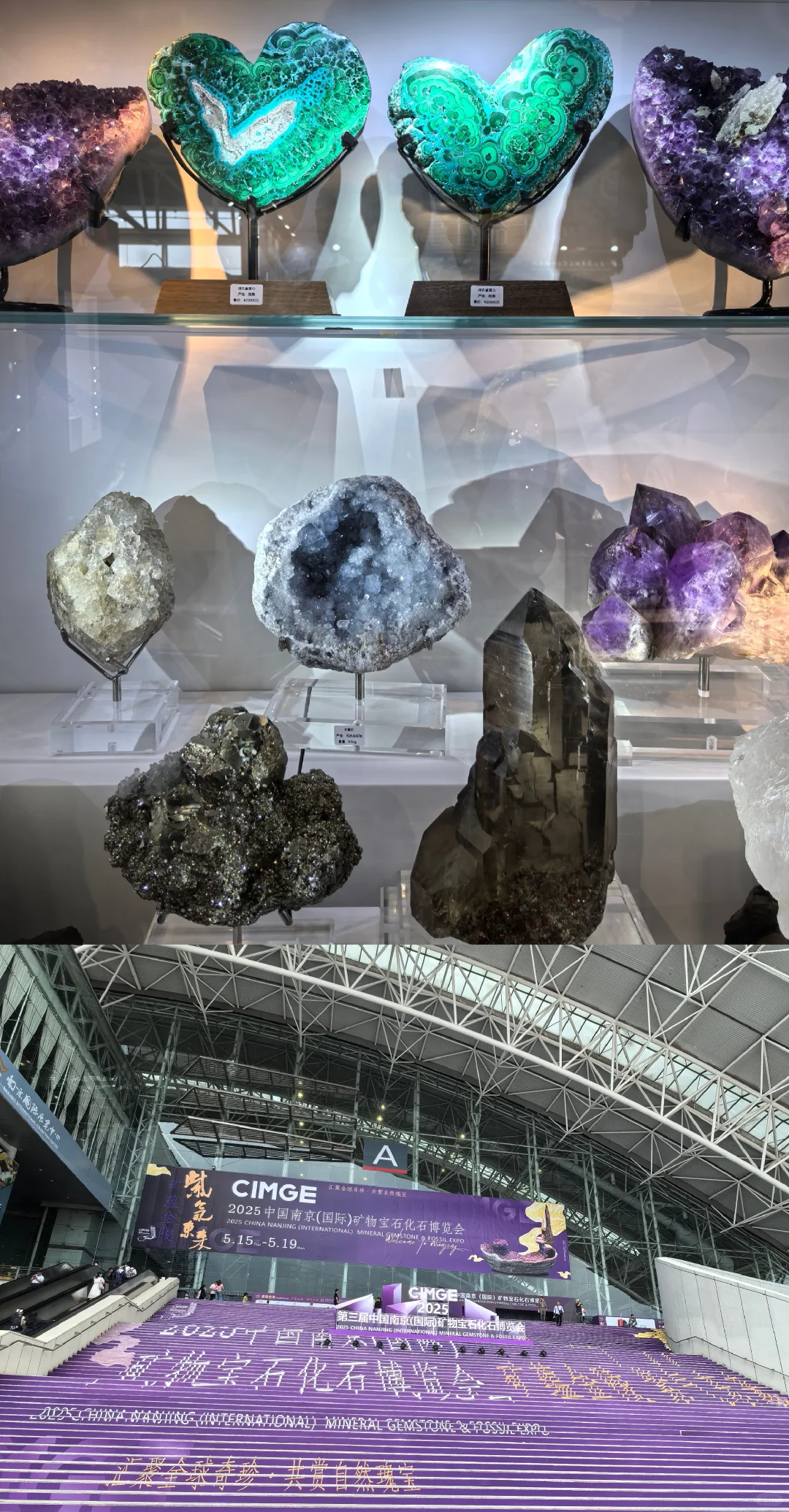 矿石博览会