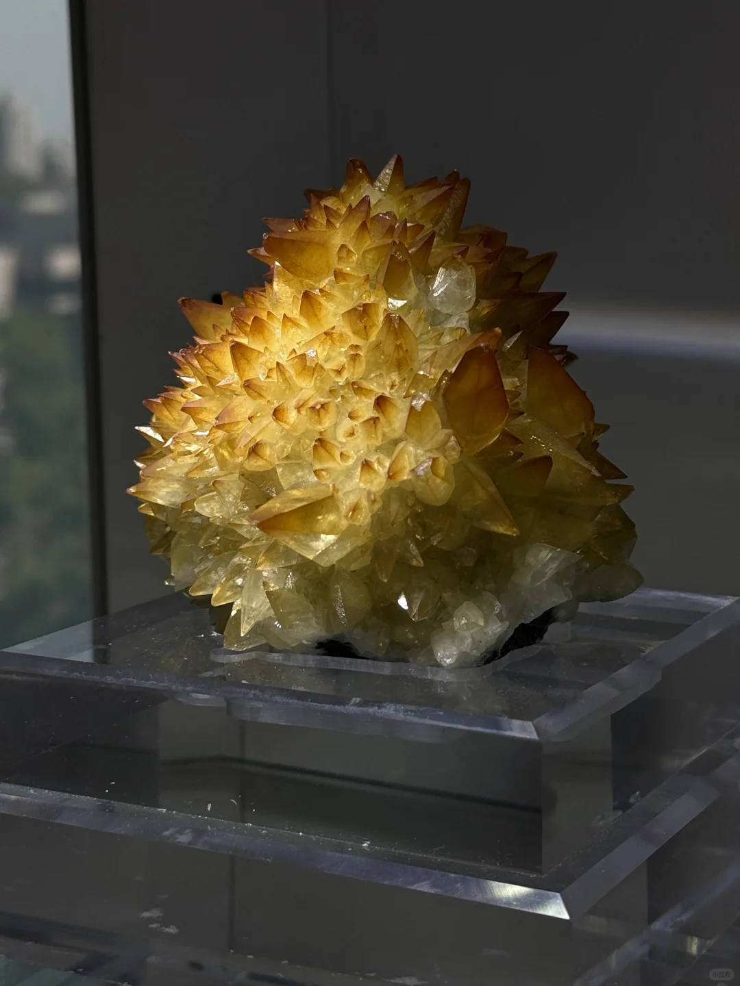 南京人收到通知了吗?2025南京矿博会要来了