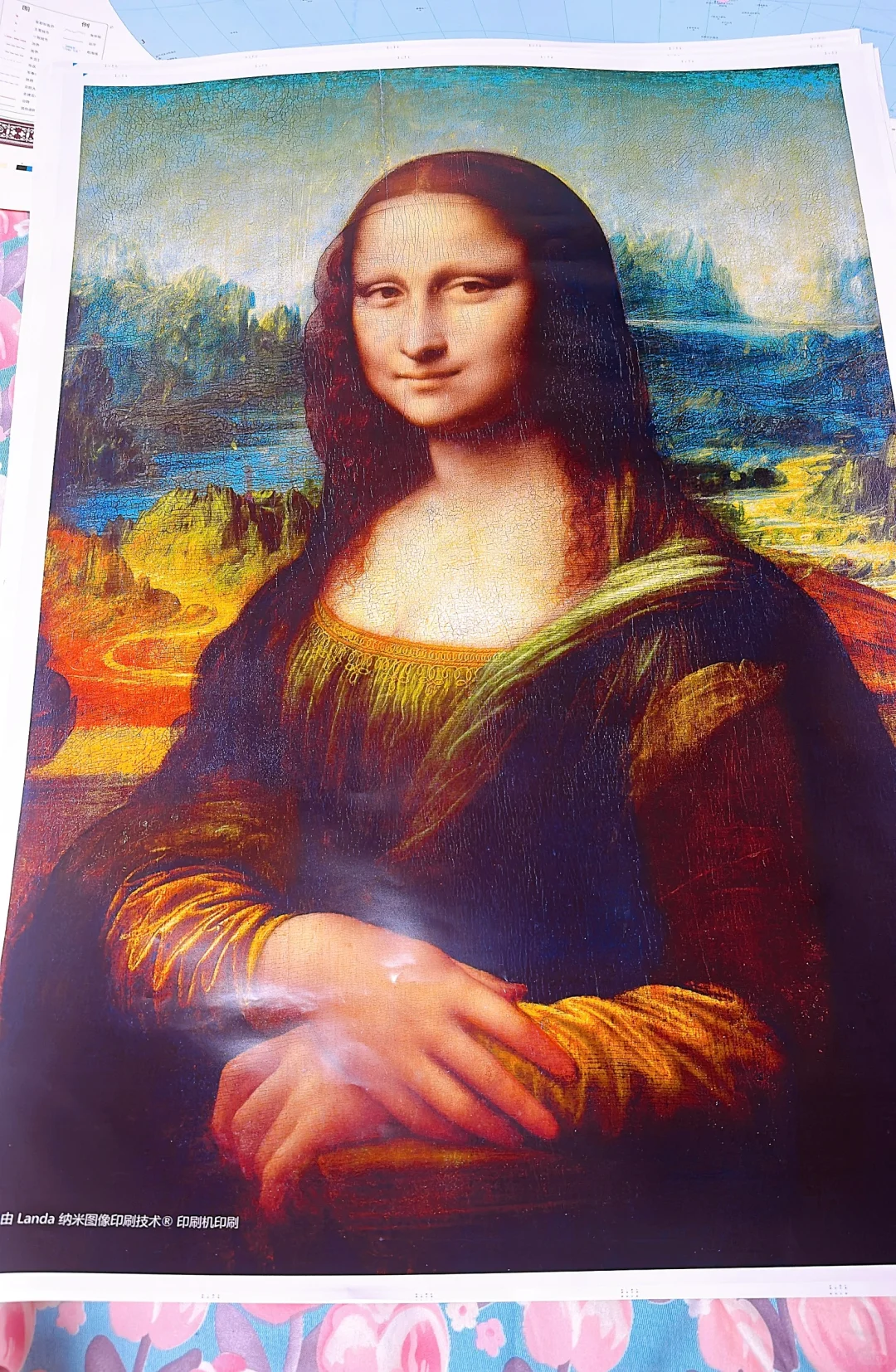 北京印刷展（大印展）都有什么羊毛？