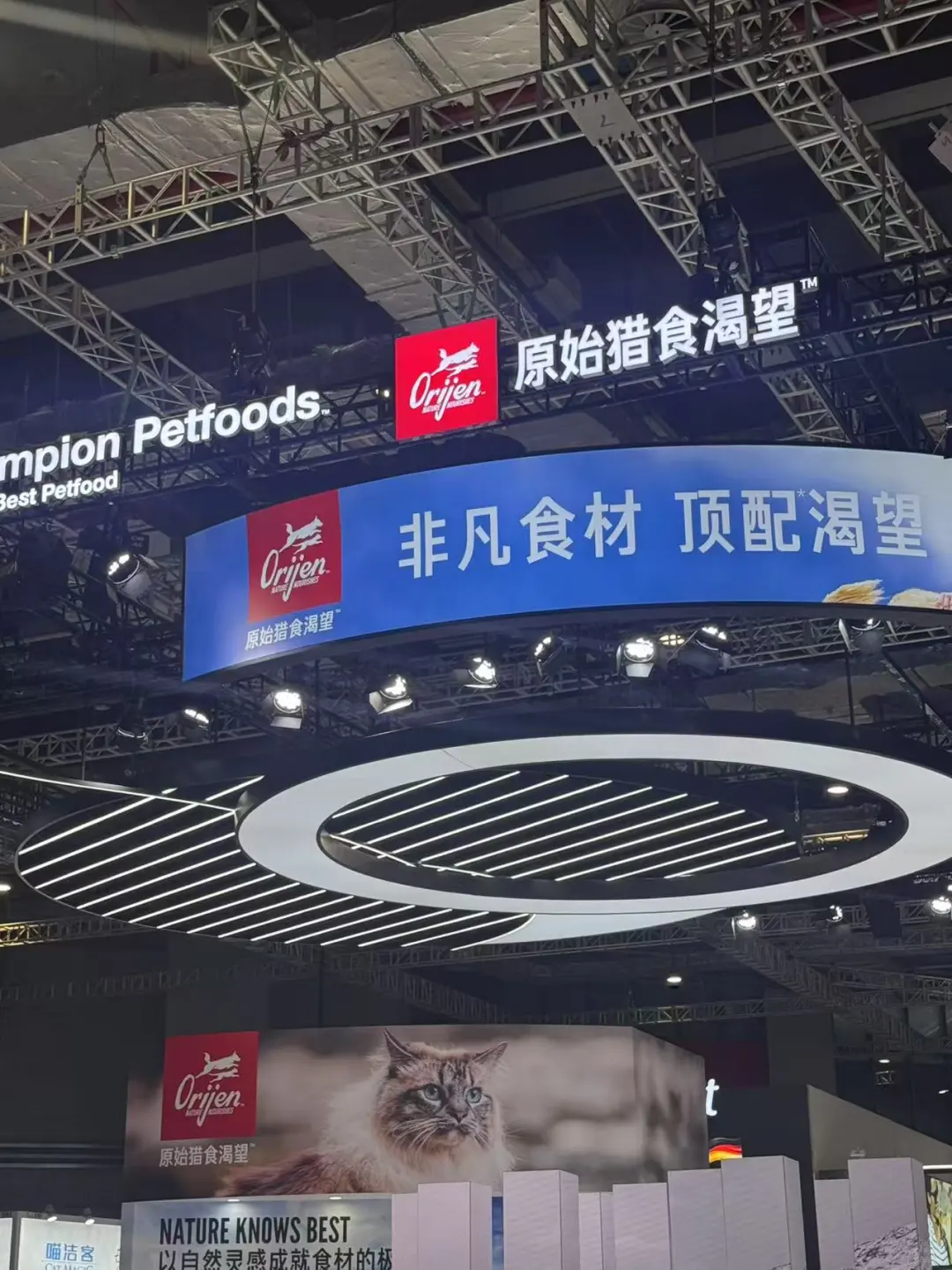 只有我觉得它博会有点那个吗