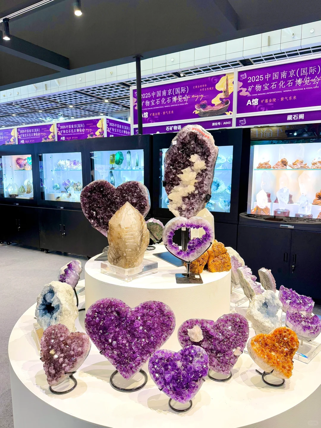 来?紫气东来！南京近期最热门的矿物博览会
