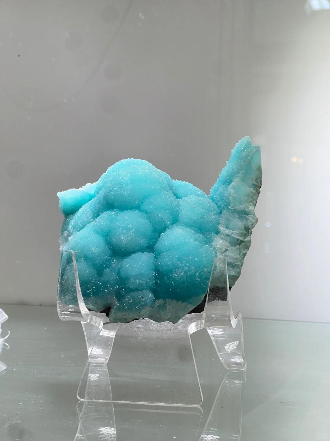 2025中國南京(國際)礦物寶石化石博覽會⑴