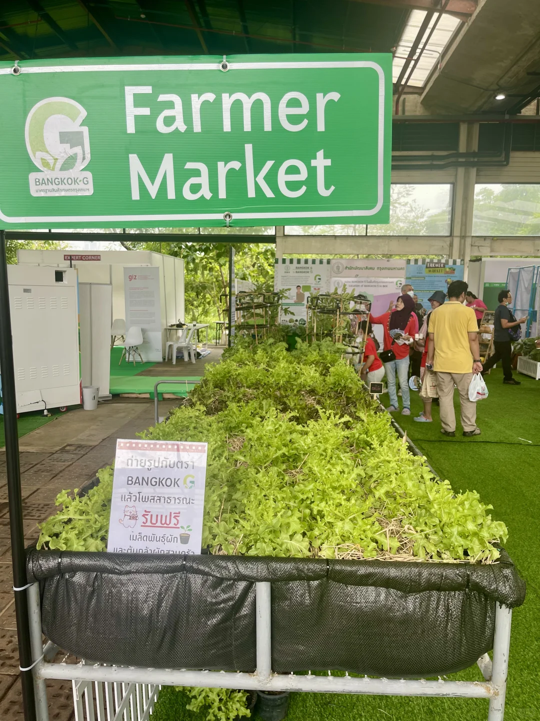 ??五月曼谷最Local的博览会还有两天