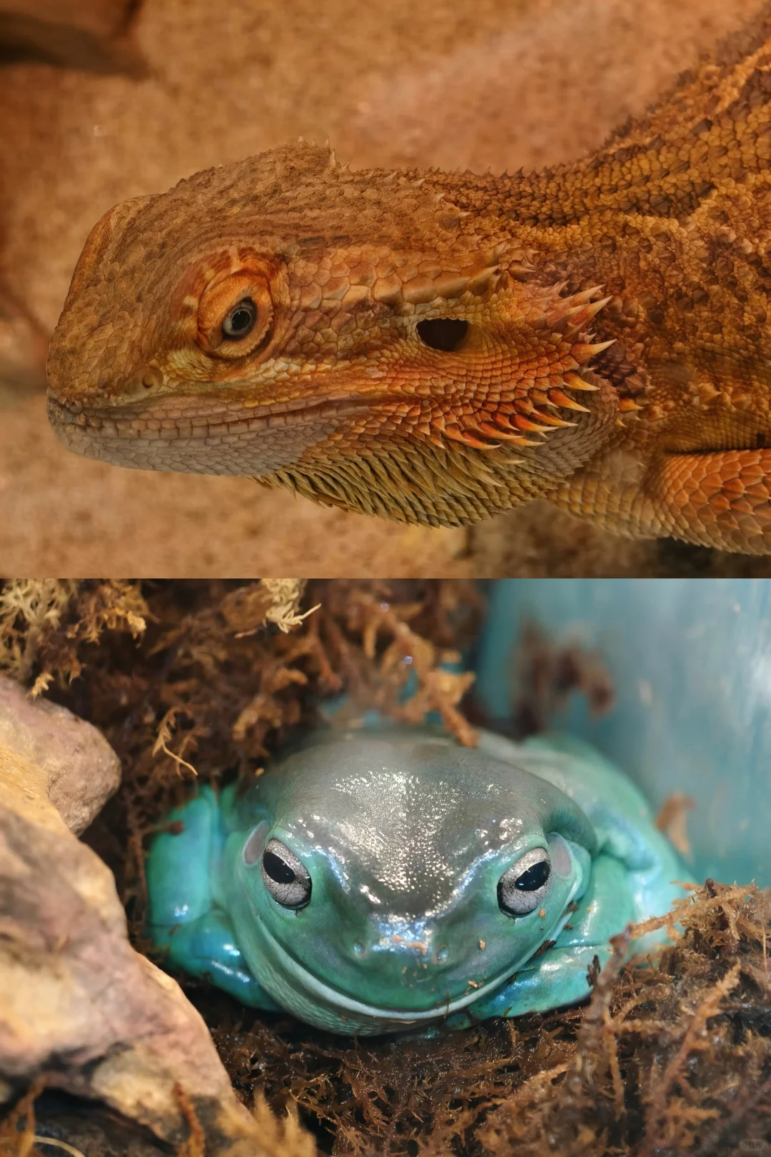 南京?矿物宝石博览会 ?