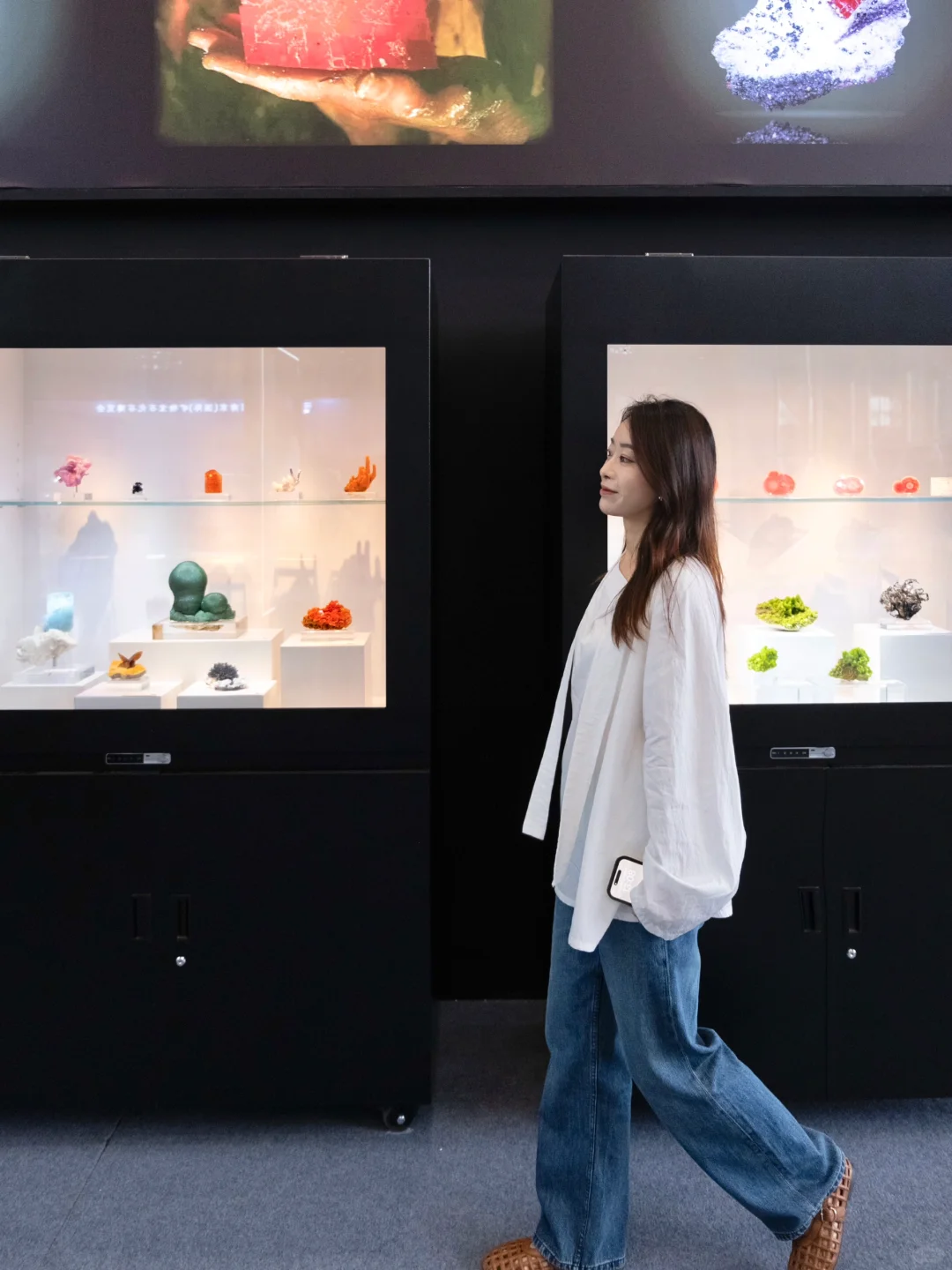 南京40000㎡免费新展?挖化石/摸陨石…好逛！