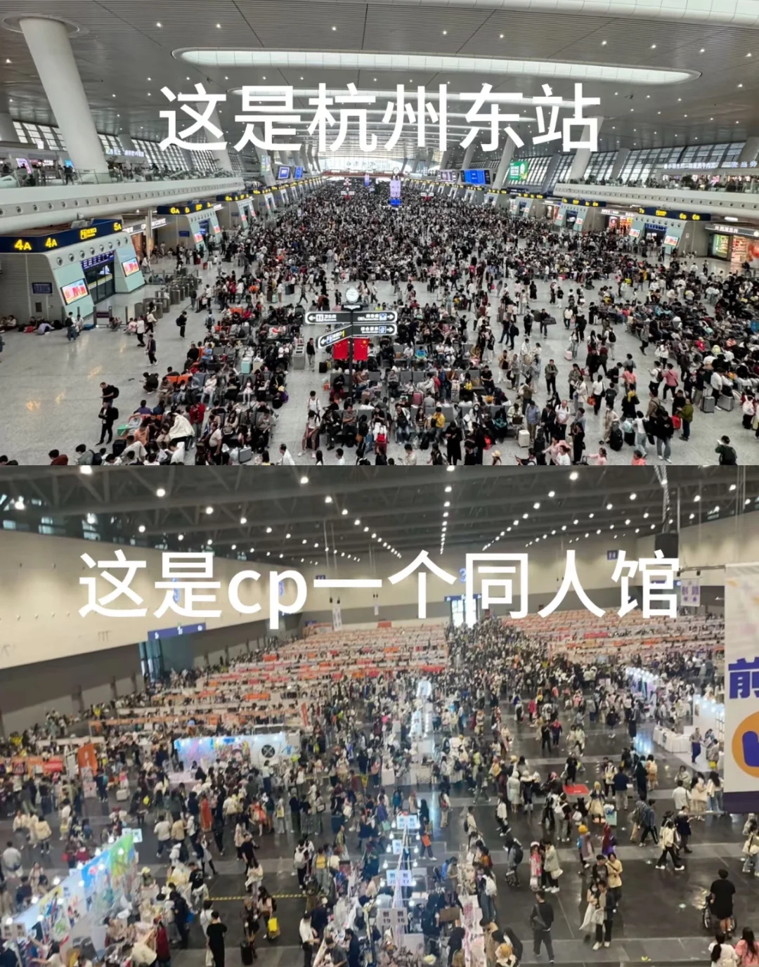 cp31申摊是场地背锅还是审核故意刁难？