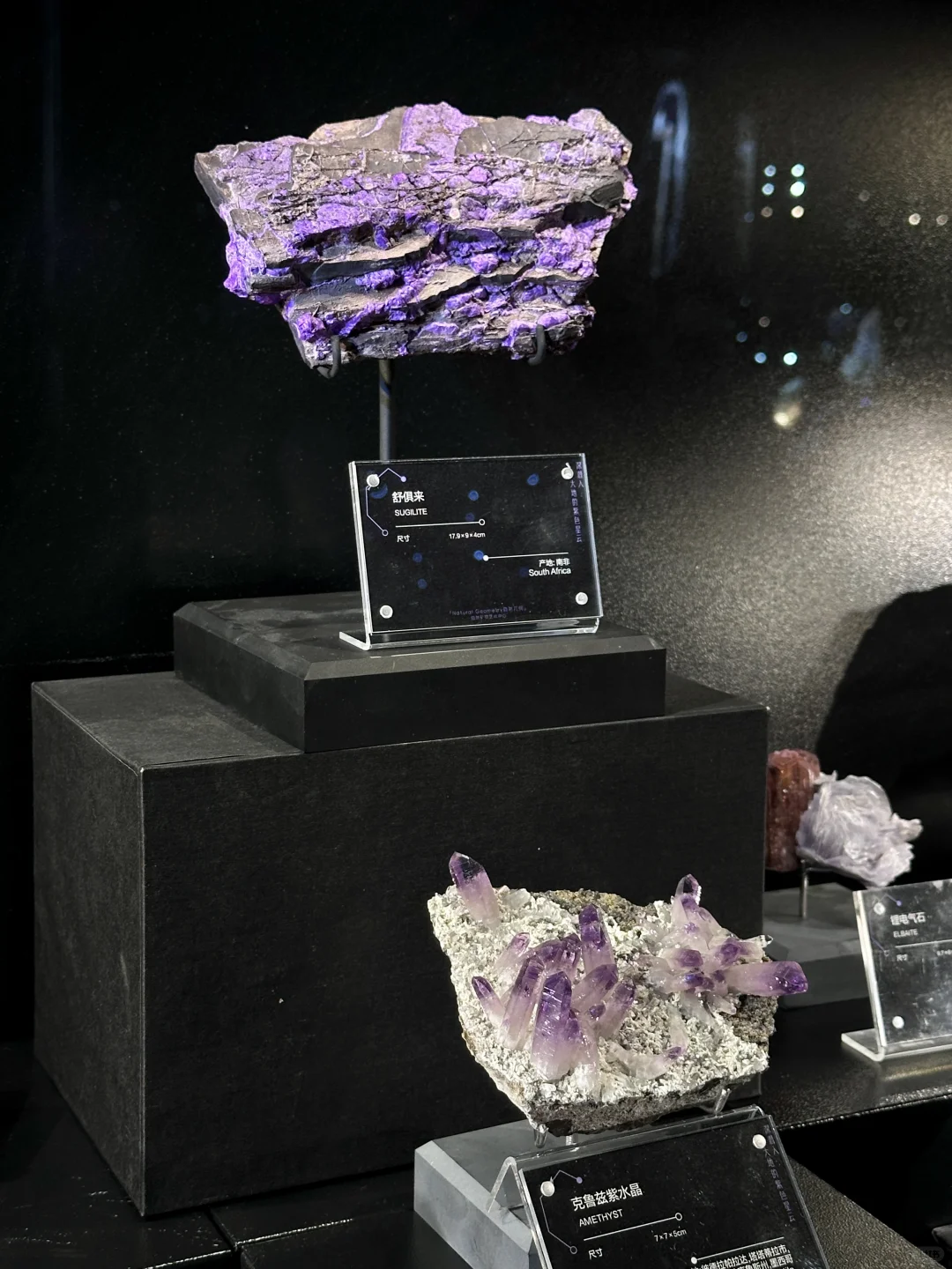 南京40000㎡免费新展?挖化石/摸陨石…好逛！