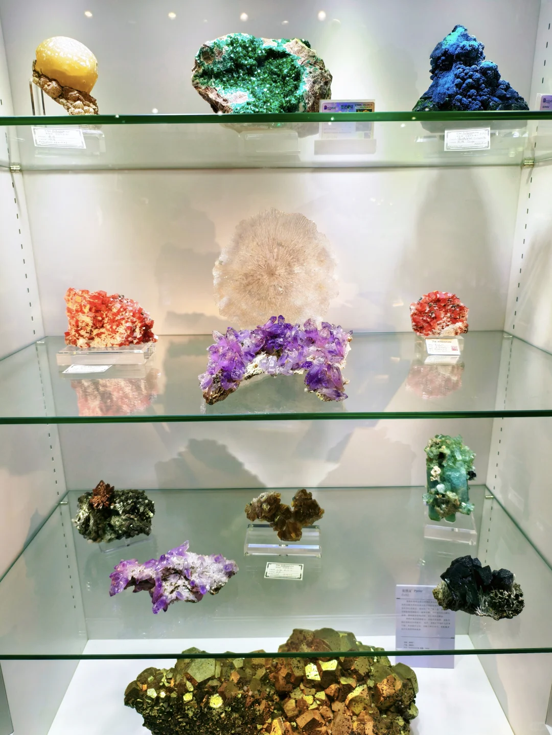 南京?矿物宝石博览会 ?