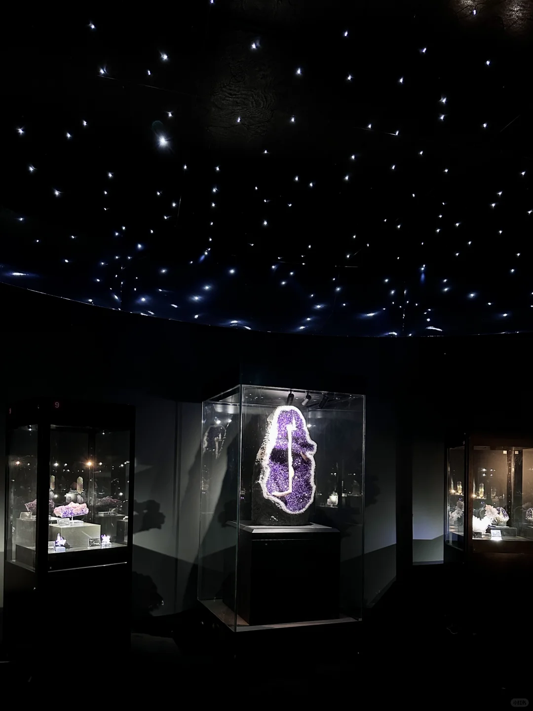 南京40000㎡免费新展?挖化石/摸陨石…好逛！