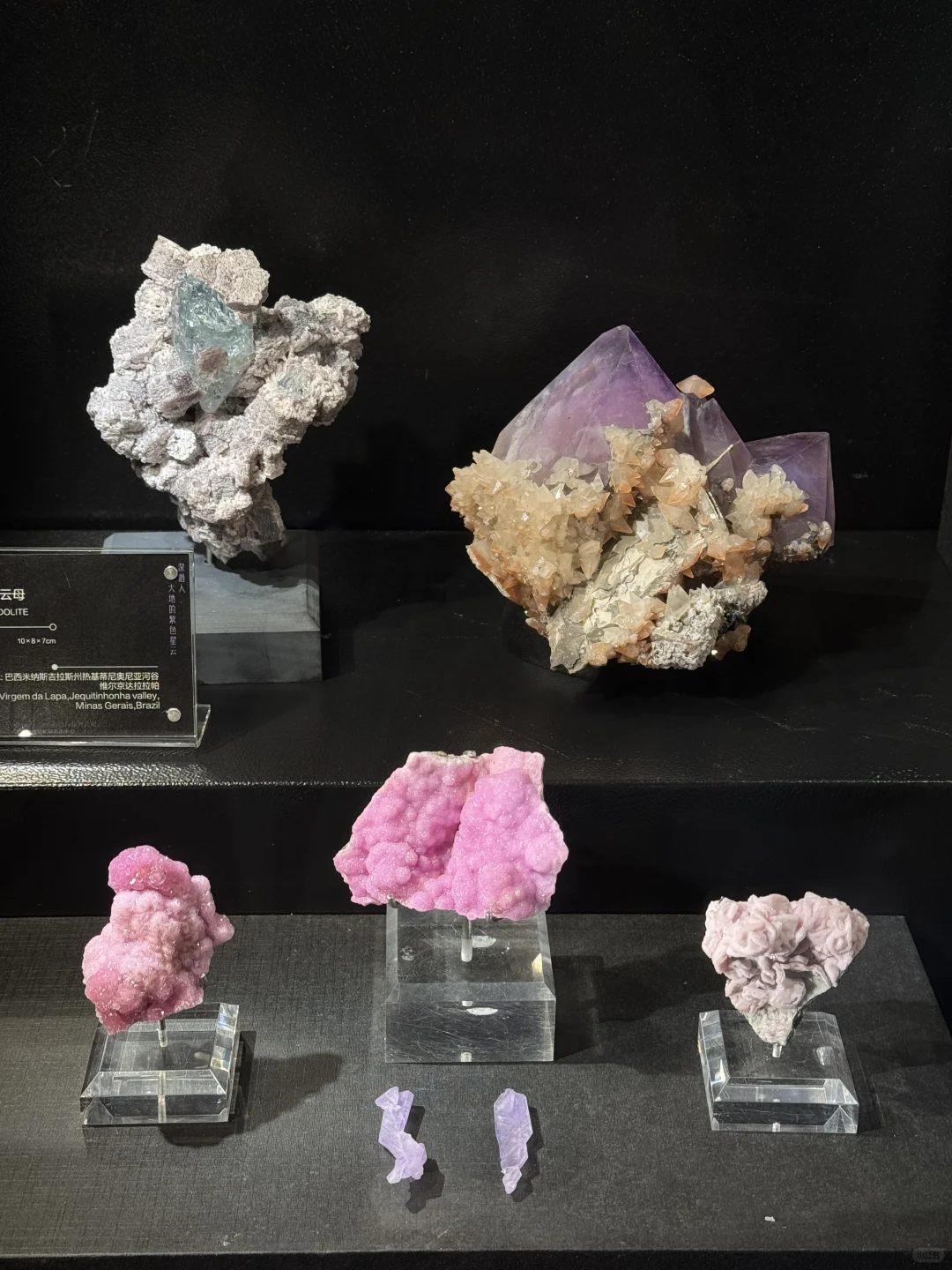 南京！预计本周末最热闹的地方…