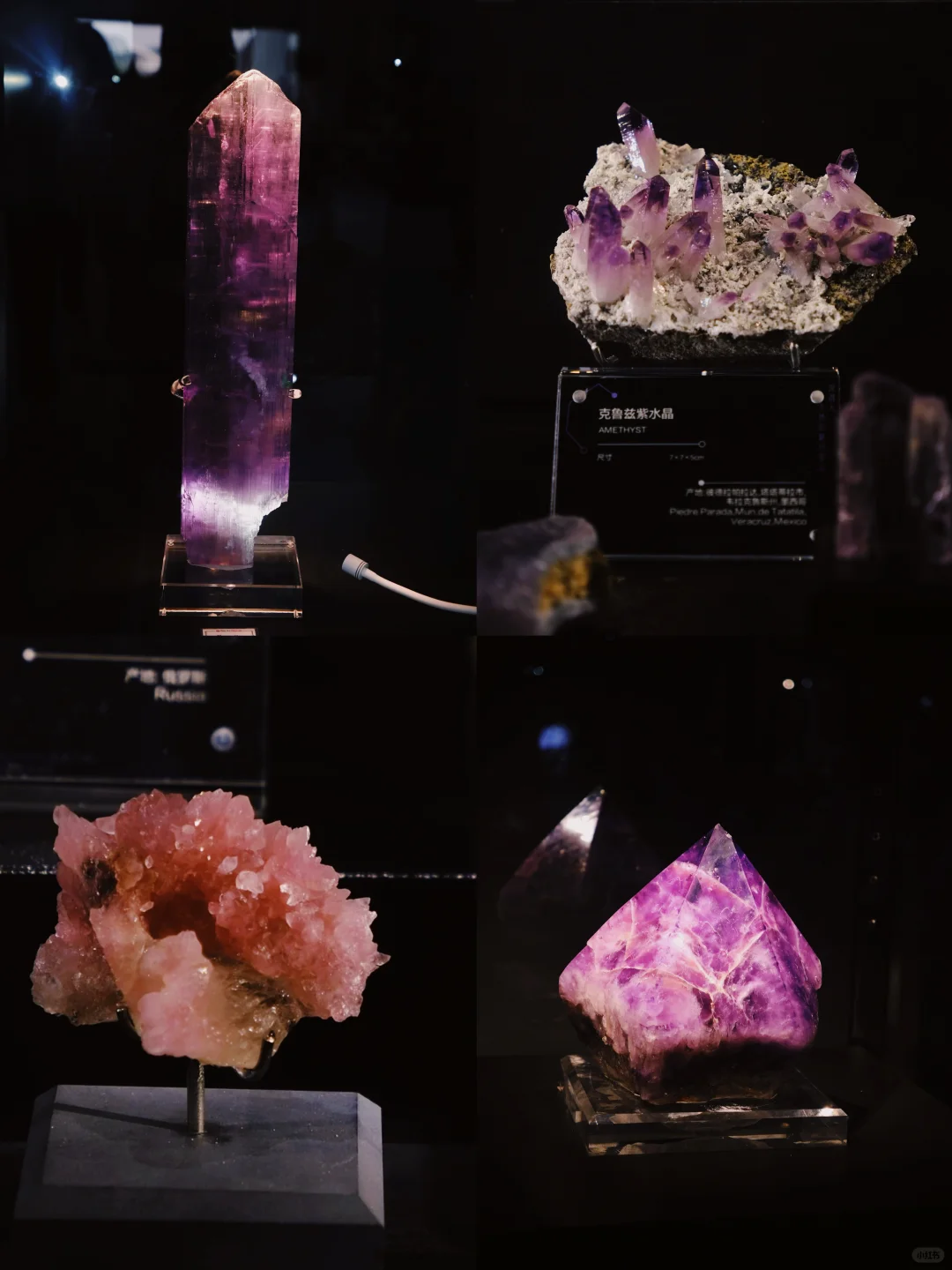 这个周末南京人都来这免费遛娃了吧‼️ 好玩