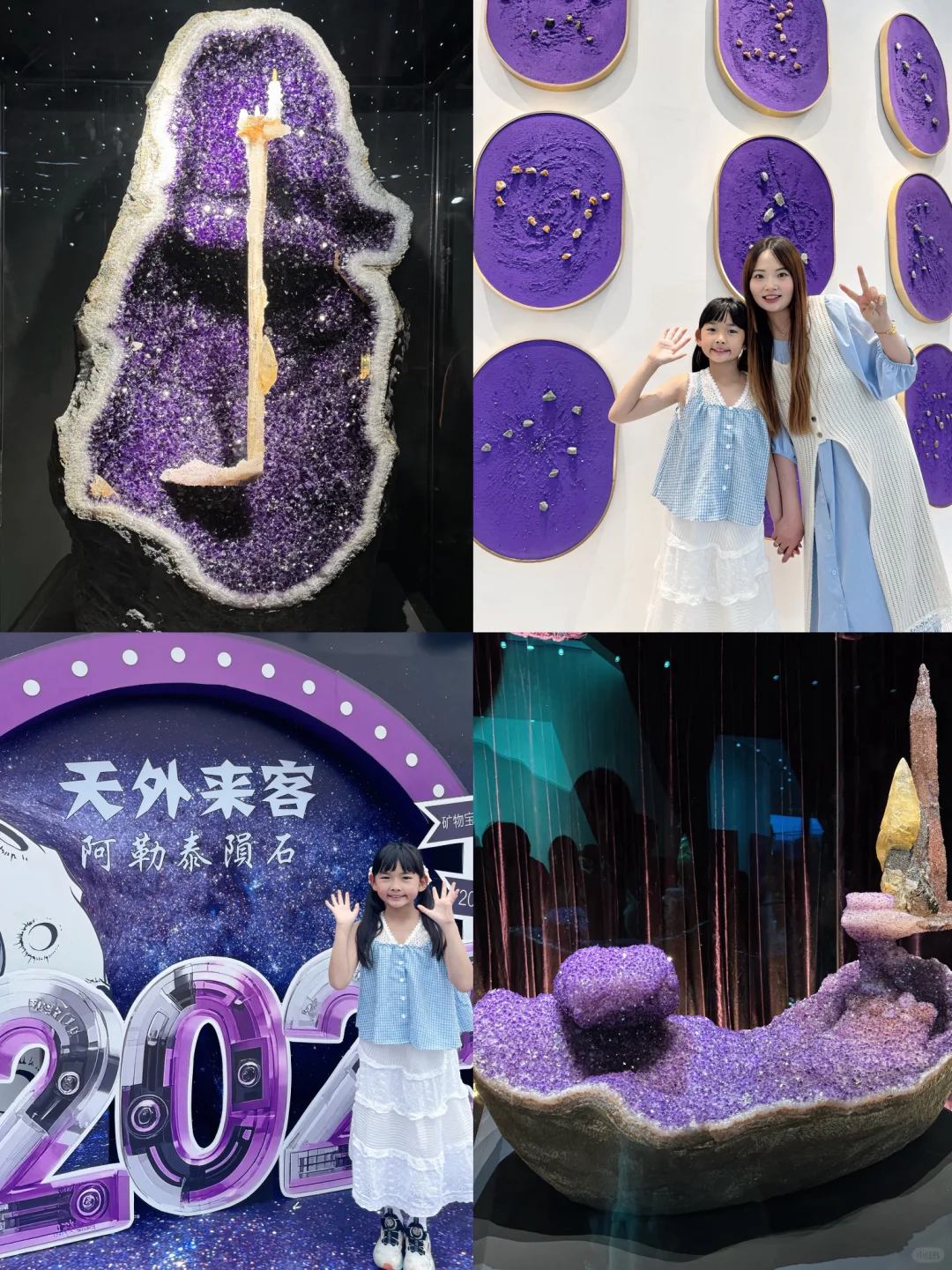 小学生挑战玩转南京矿博会，详细攻略来啦‼️