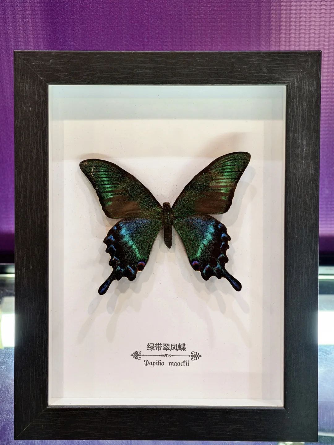 南京?矿物宝石博览会 ?