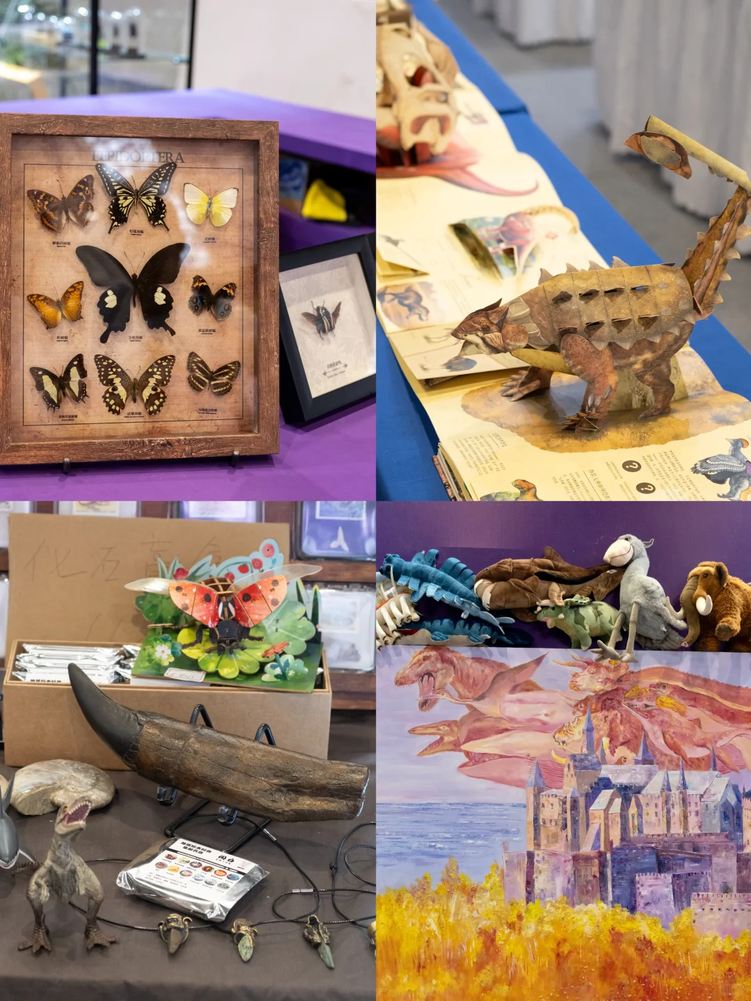 南京40000㎡免费新展?挖化石/摸陨石…好逛！