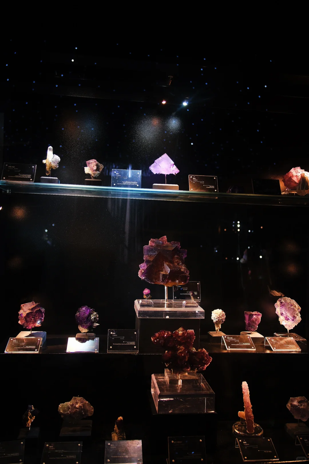 这个周末南京人都来这免费遛娃了吧‼️ 好玩