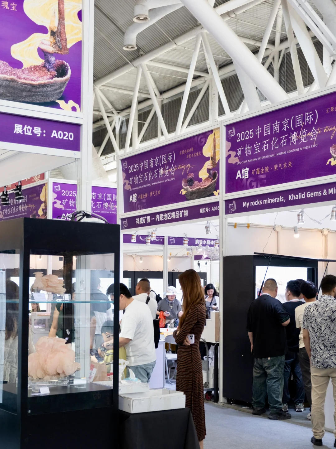 南京40000㎡免费新展?挖化石/摸陨石…好逛！