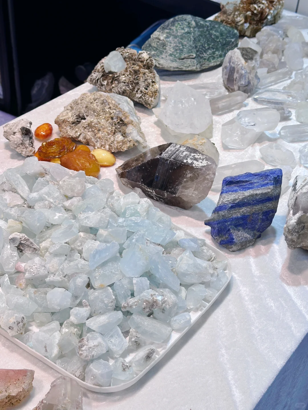 南京40000㎡免费新展?挖化石/摸陨石…好逛！