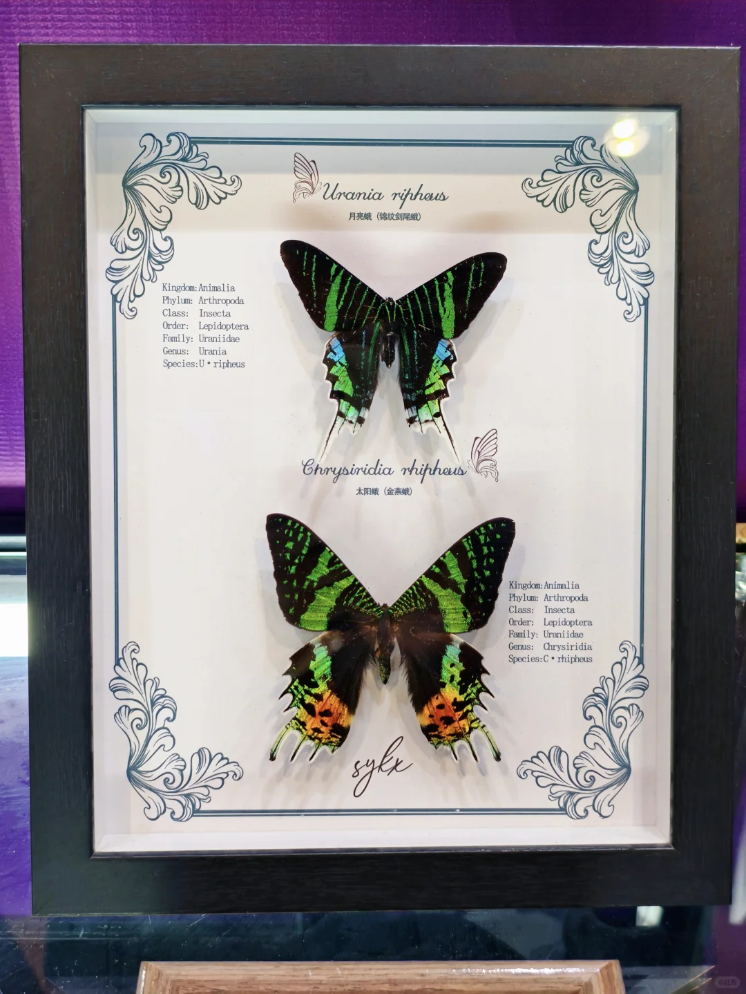 南京?矿物宝石博览会 ?