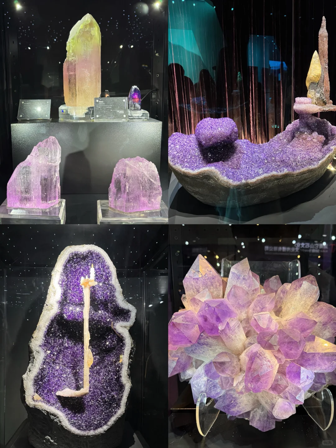 小学生挑战玩转南京矿博会，详细攻略来啦‼️