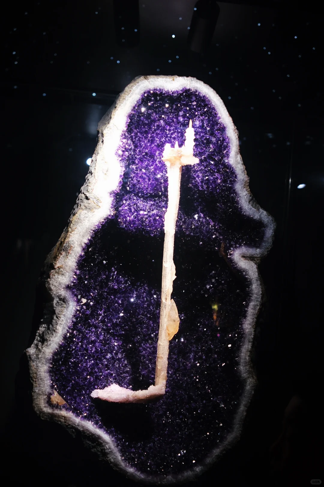 这个周末南京人都来这免费遛娃了吧‼️ 好玩