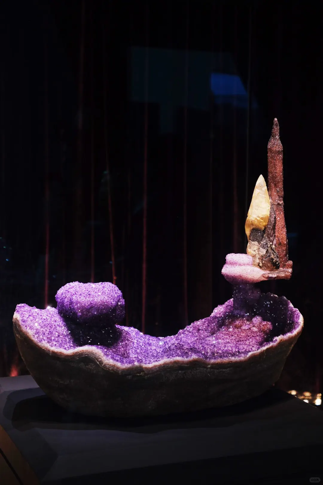 这个周末南京人都来这免费遛娃了吧‼️ 好玩