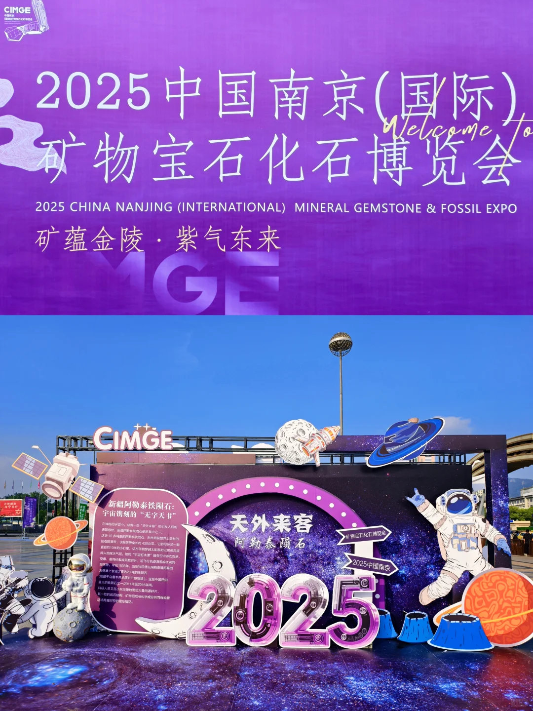 南京?矿物宝石博览会 ?