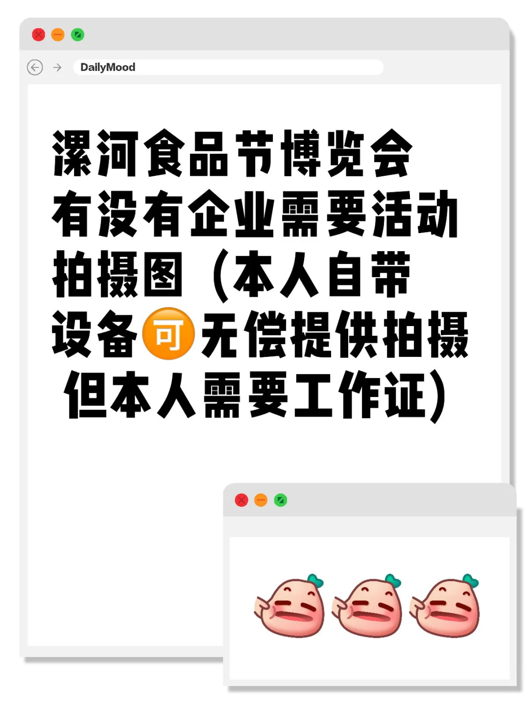 漯河食品节博览会 活动拍摄