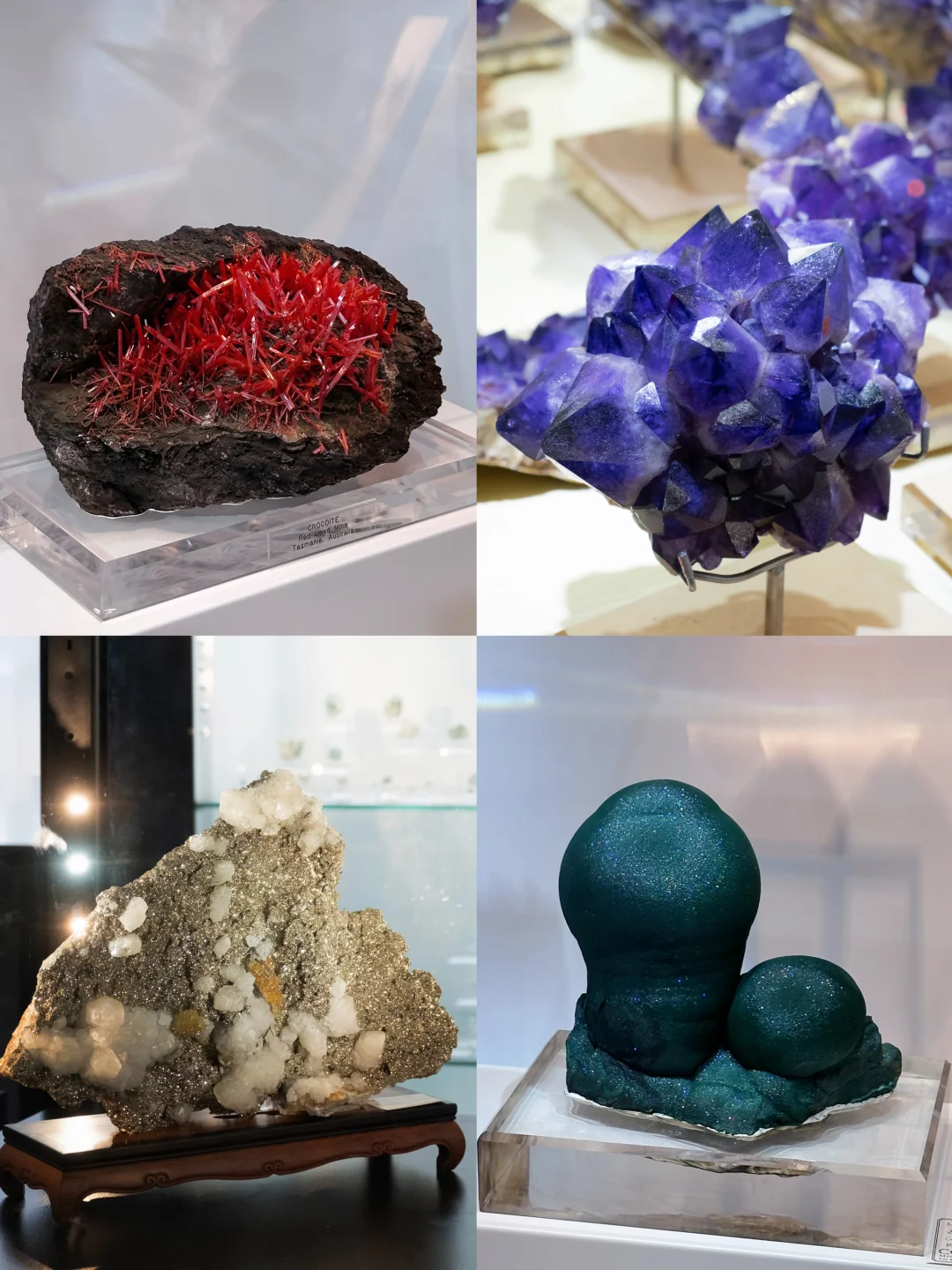 南京40000㎡免费新展?挖化石/摸陨石…好逛！