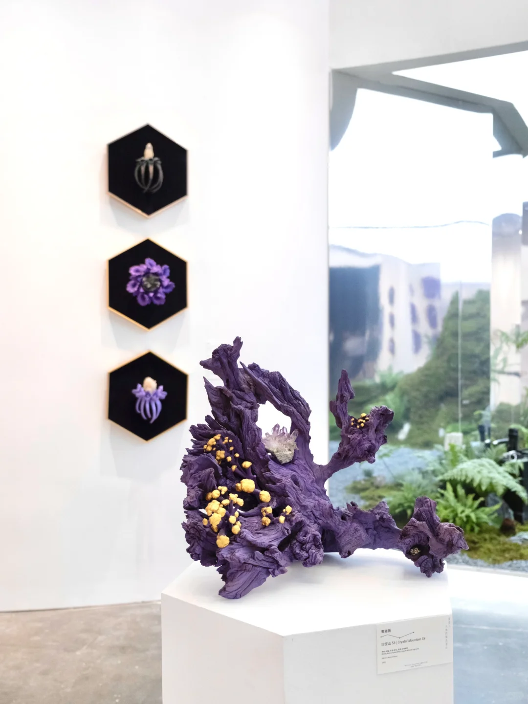 南京40000㎡免费新展?挖化石/摸陨石…好逛！